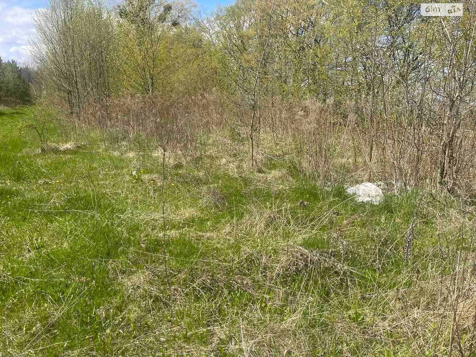 Здається в оренду земельна ділянка 2.5 соток у Вінницькій області, цена: 9084 грн - фото 1