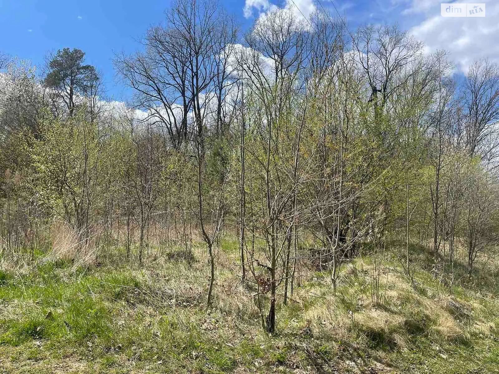 Здається в оренду земельна ділянка 3 соток у Вінницькій області, цена: 10901 грн - фото 1