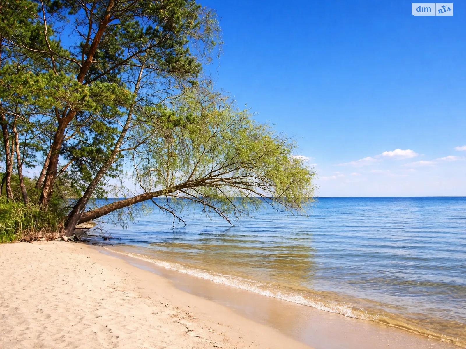 Ясногородка (Вышгород), цена: 2000000 $ - фото 1