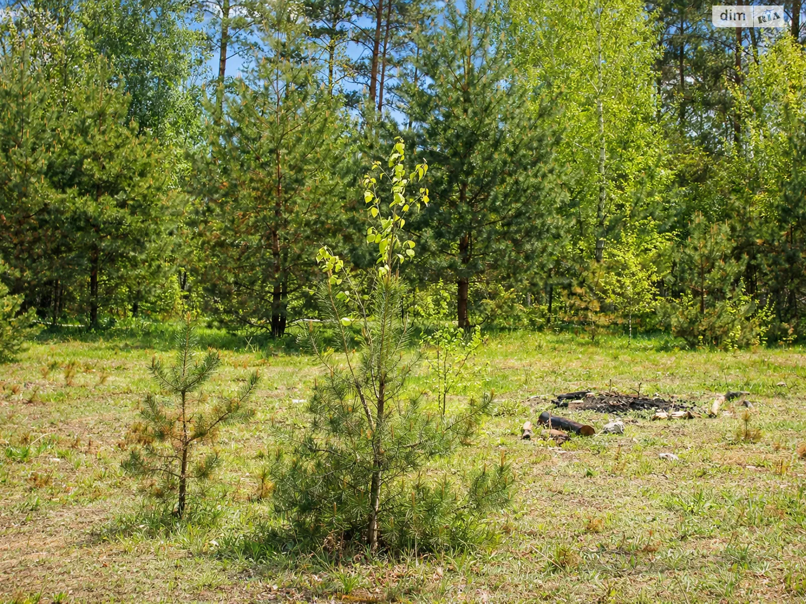 Ясногородка (Вышгород), цена: 372000 $ - фото 1