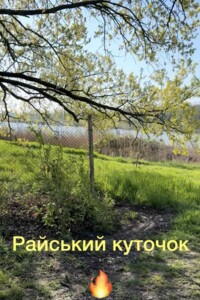 Продажа земли сельскохозяйственного назначения, Одесская, Молодежное, Виноградная улица