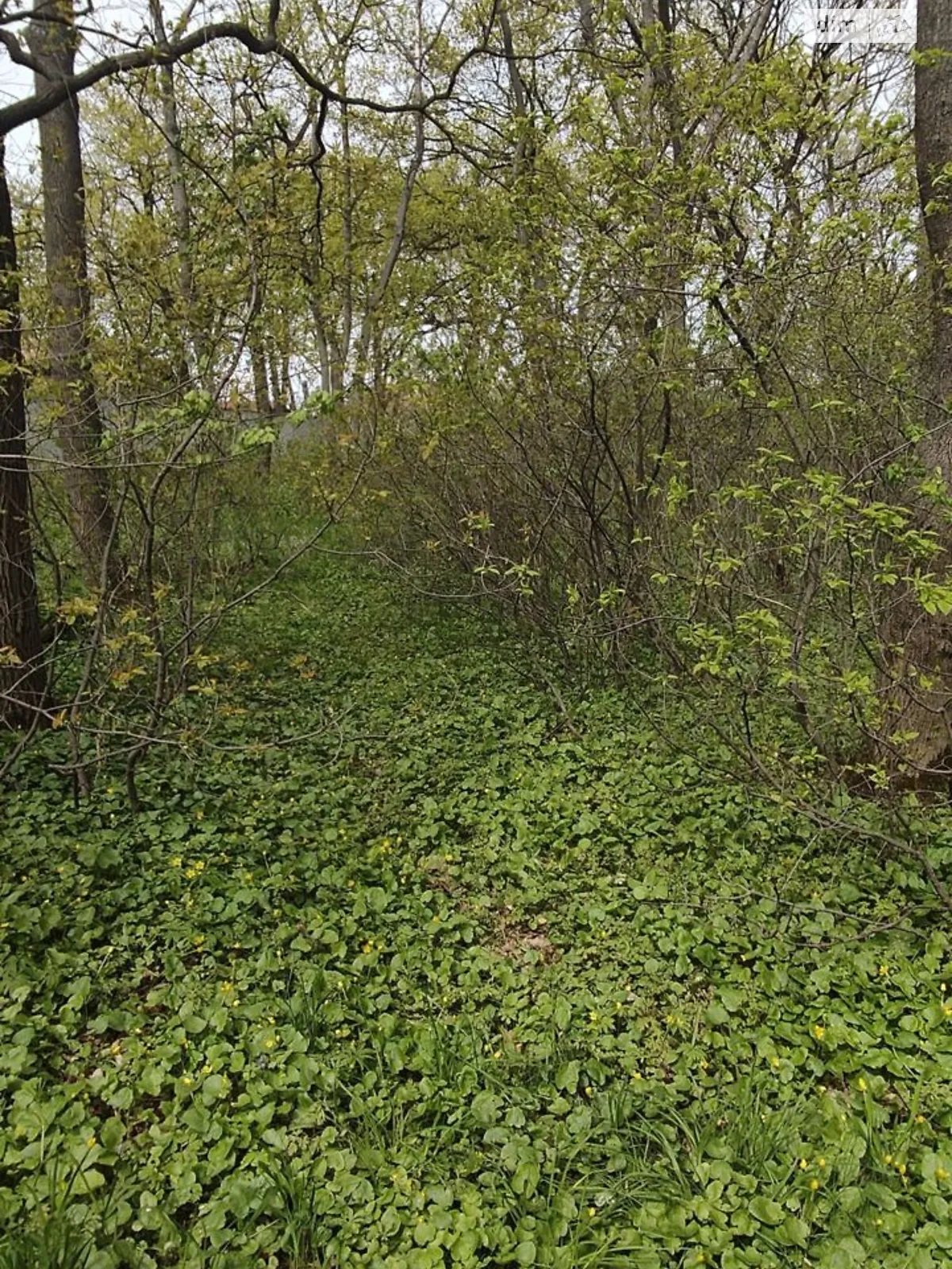 Сдается в аренду земельный участок 0.3684 соток в Полтавской области, цена: 32000 грн - фото 1