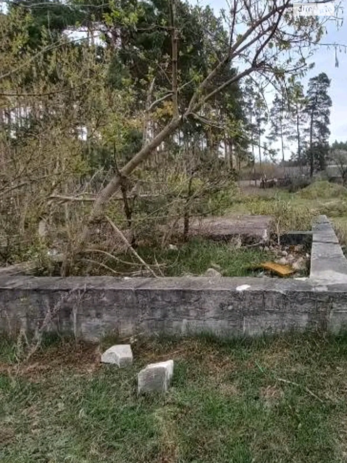 Продается земельный участок 12 соток в Житомирской области, цена: 16500 $ - фото 1