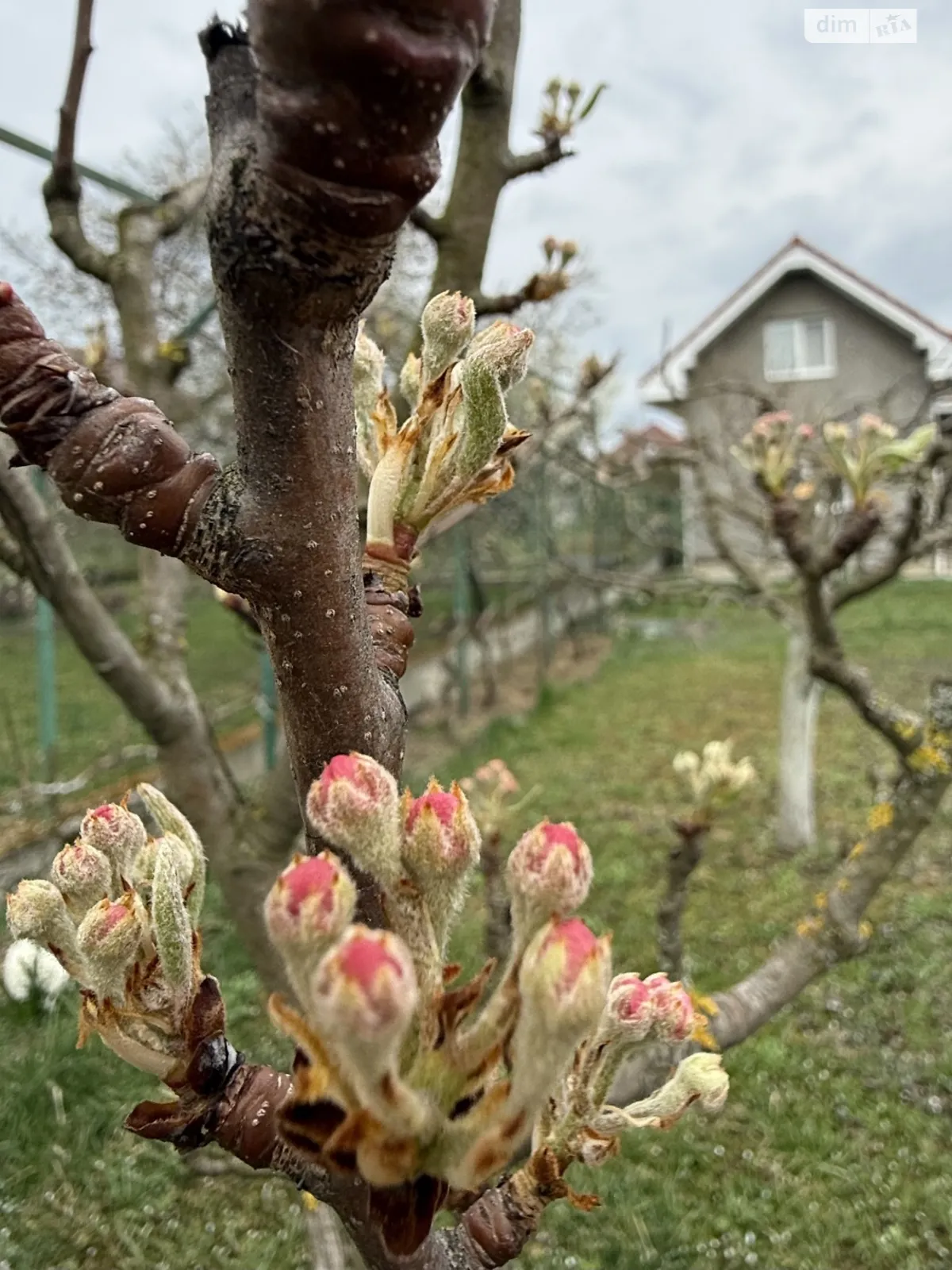 Продается дом на 2 этажа 336.94 кв. м с гаражом, цена: 250000 $ - фото 1