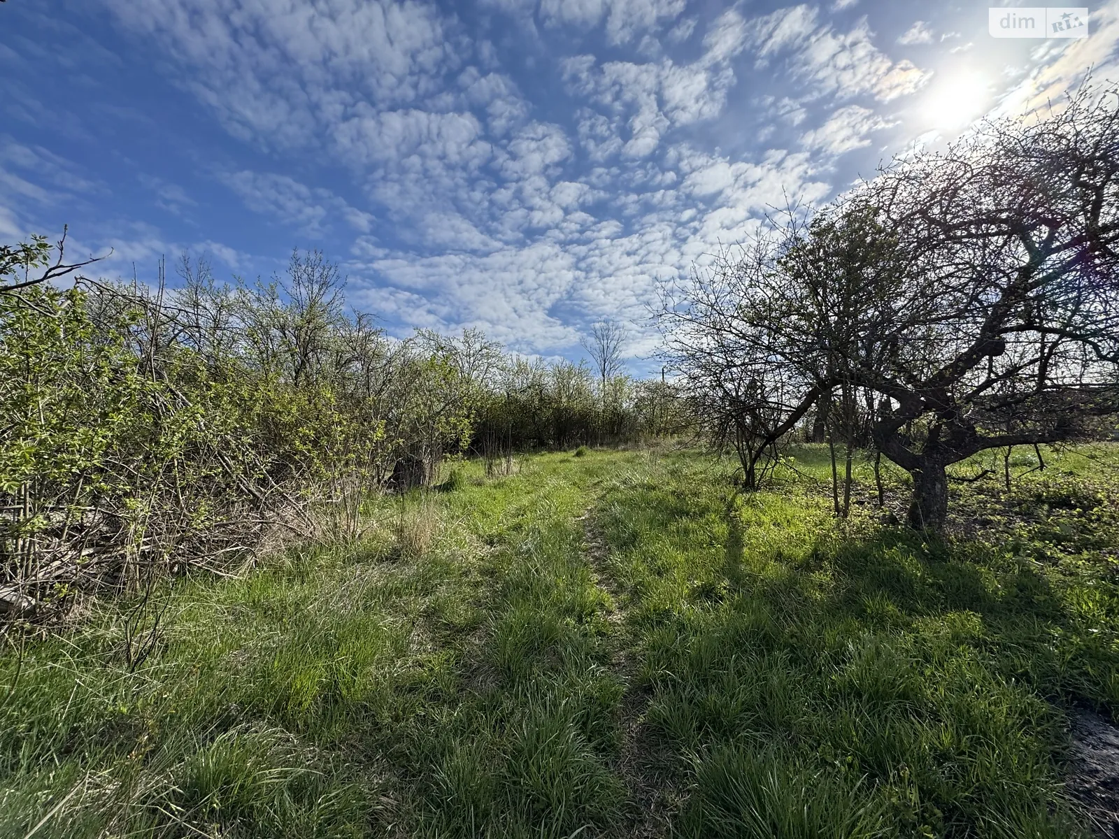 Дашковцы, цена: 10000 $ - фото 1