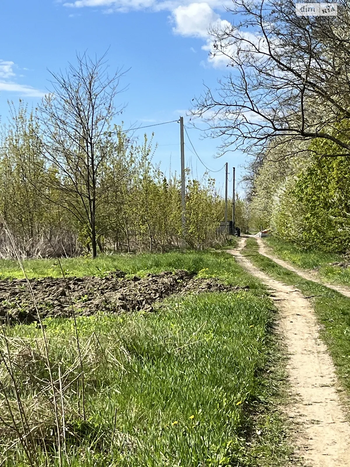 Бохоники, цена: 20000 $ - фото 1