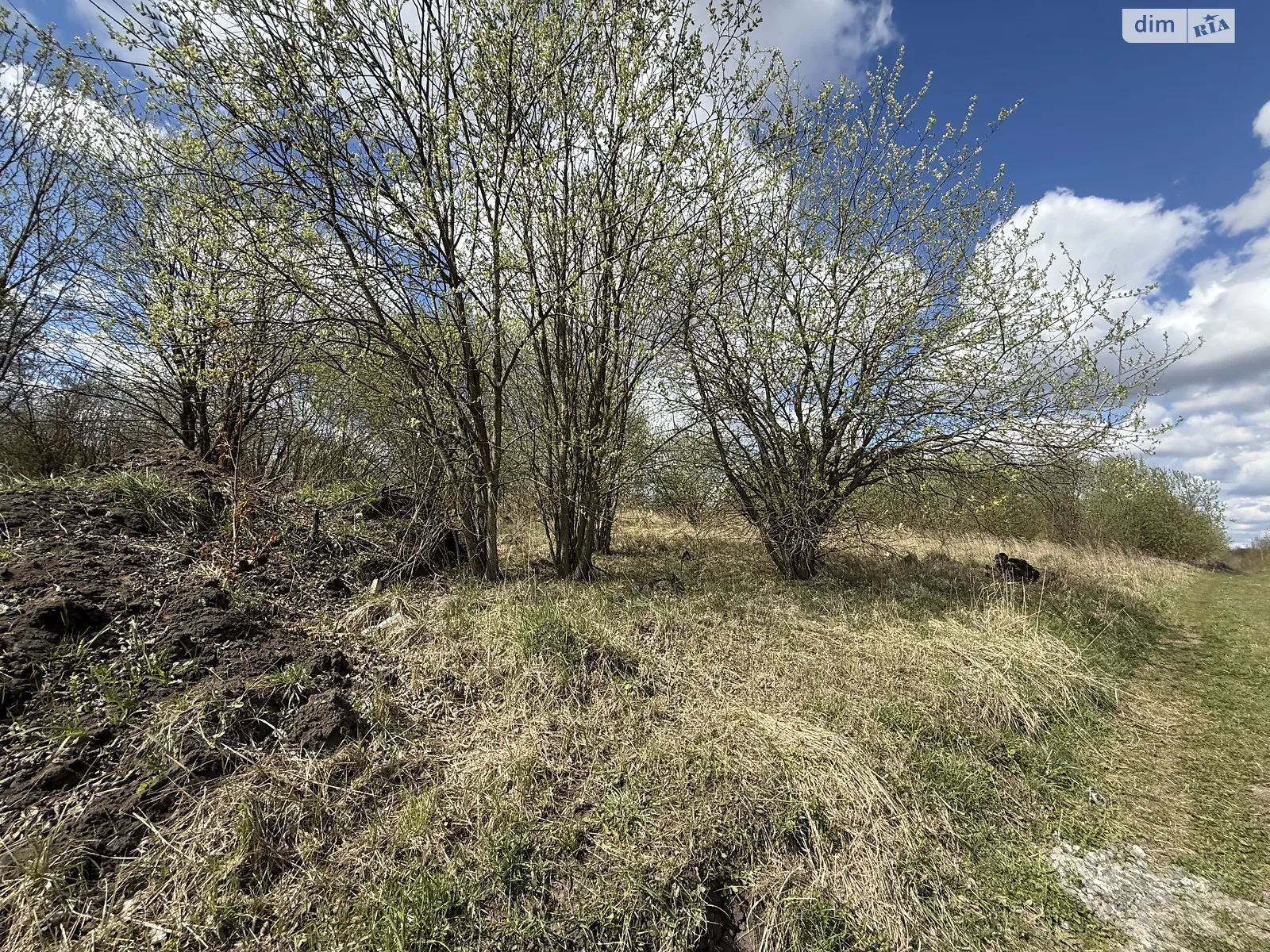 Продается земельный участок 10 соток в Хмельницкой области, цена: 65000 $ - фото 1