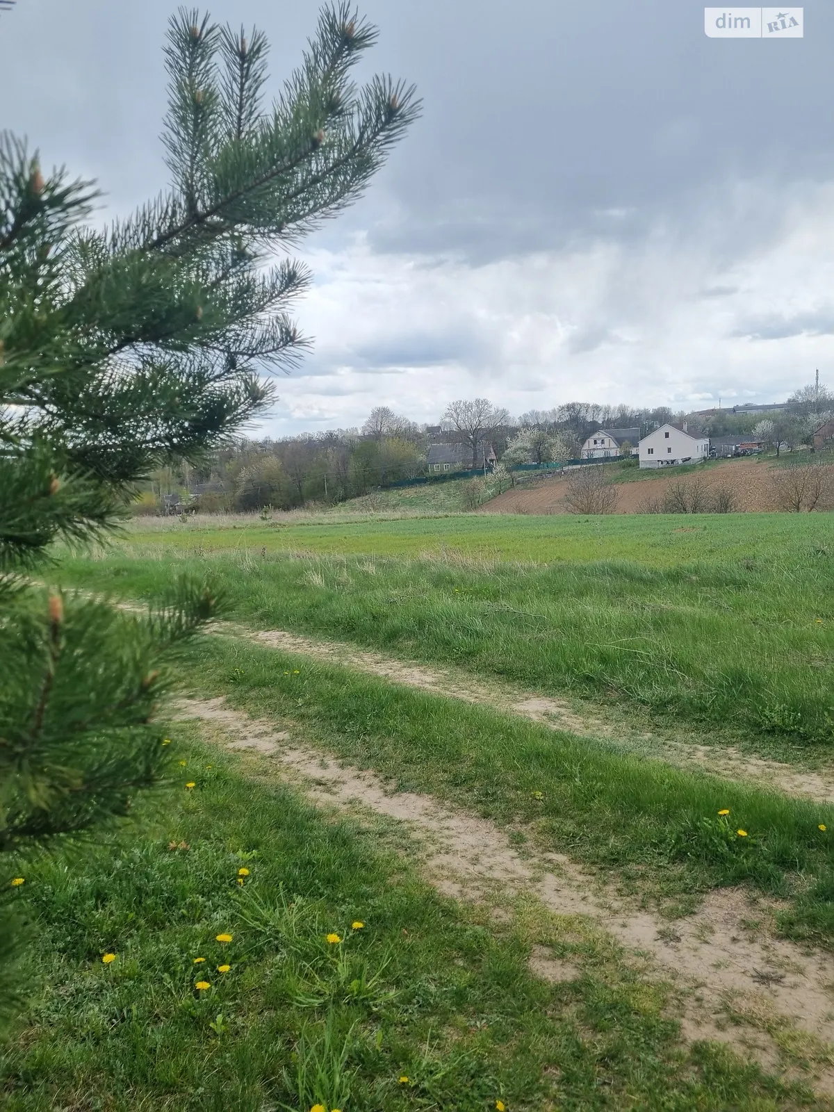 Бохоники, цена: 39999 $ - фото 1