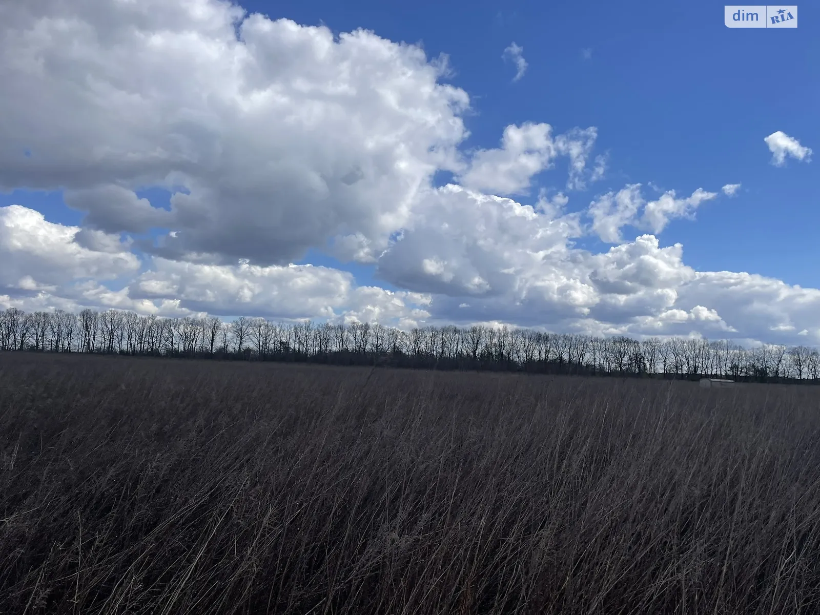 Агрономичное, цена: 15300 $ - фото 1