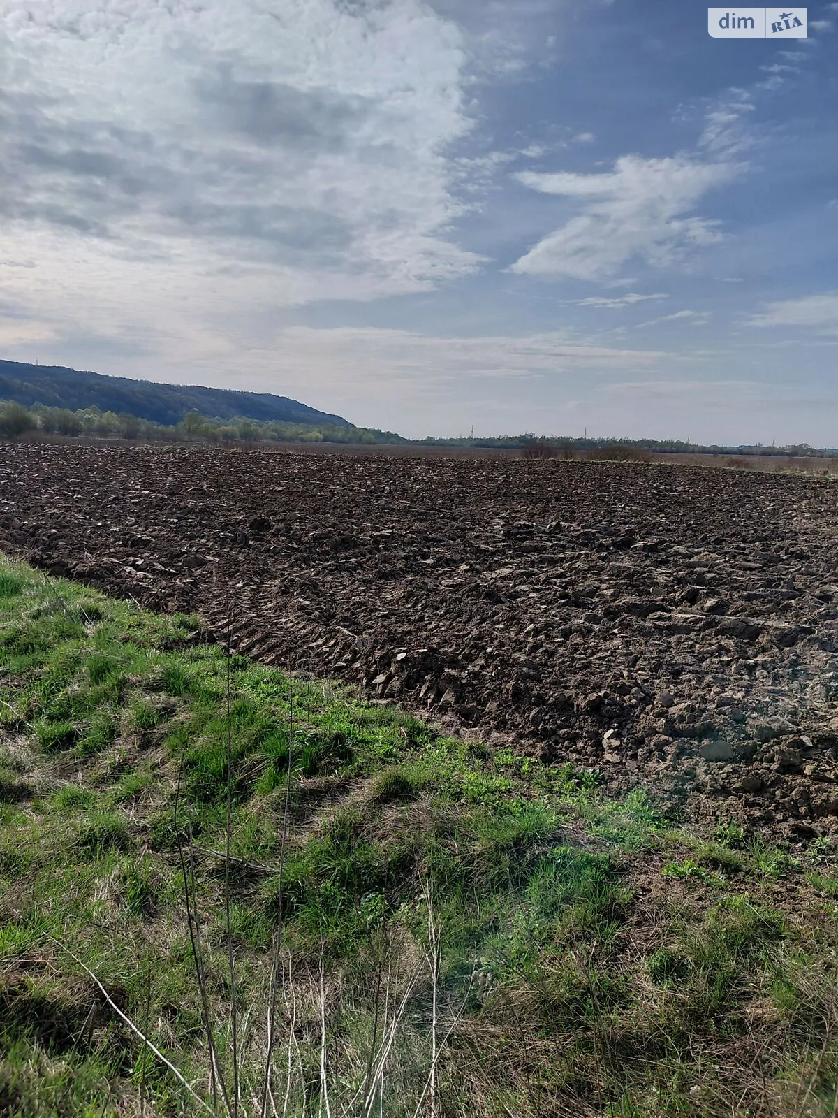 Ямница, цена: 6595 грн - фото 1