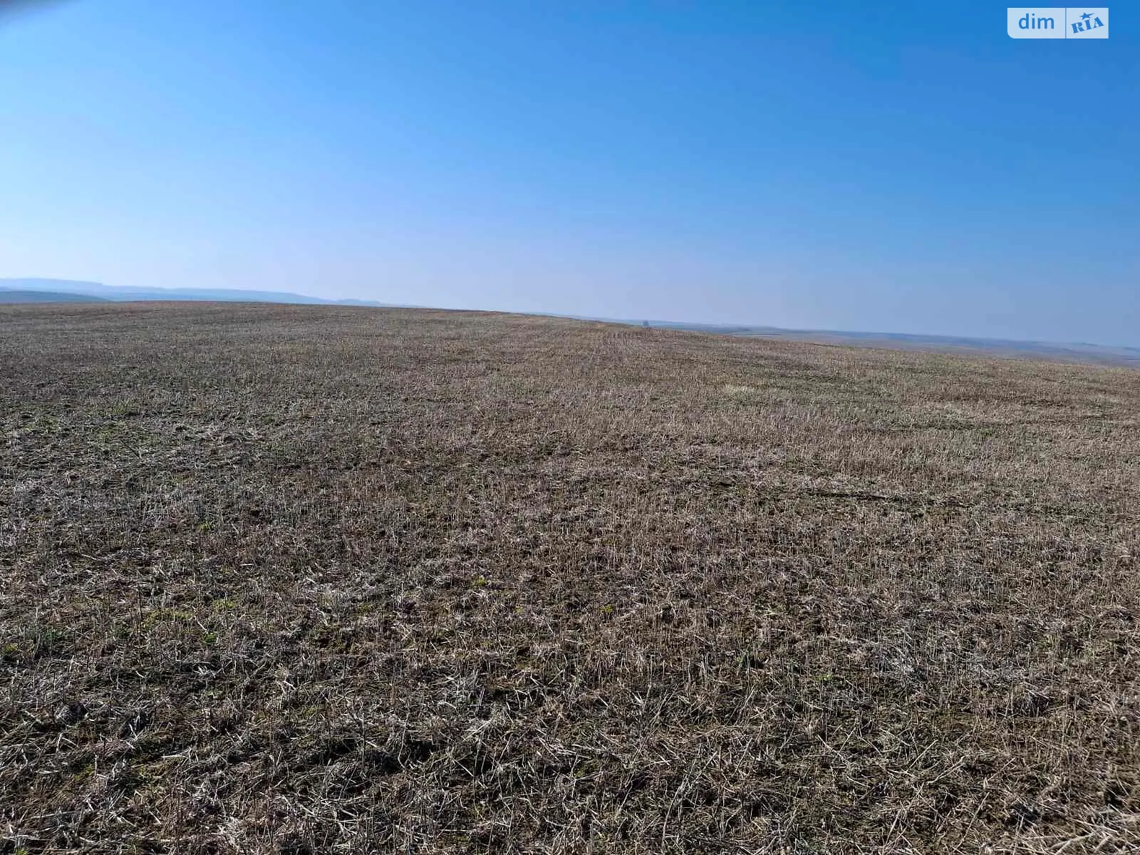 Тщенец, цена: 26708 грн - фото 1