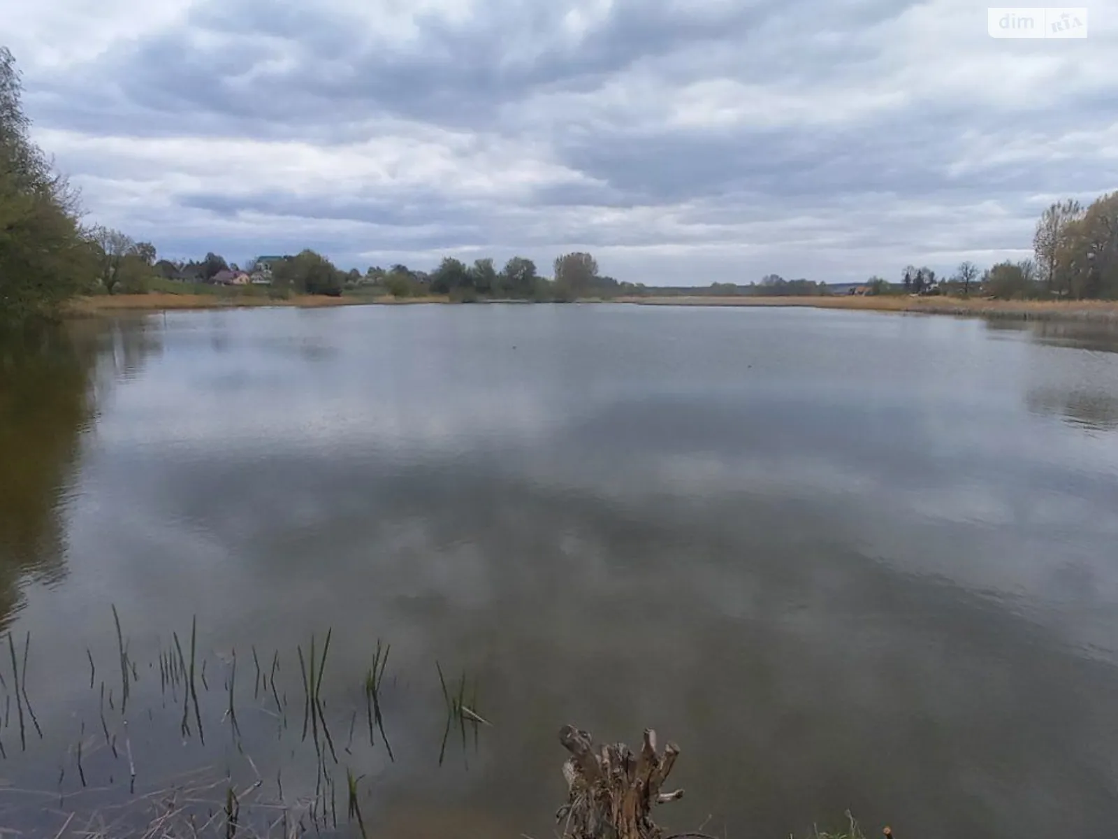 Смордва, цена: 45932 грн - фото 1