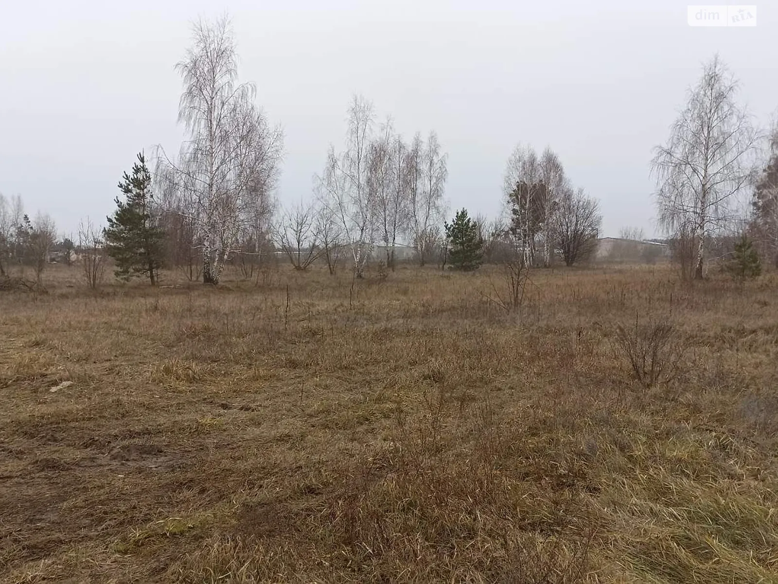 Славута, цена: 164201 грн - фото 1