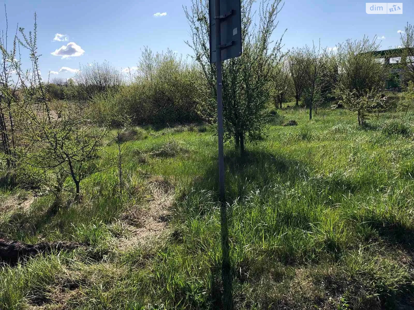 Сапіжанка, цена: 98950 грн - фото 1