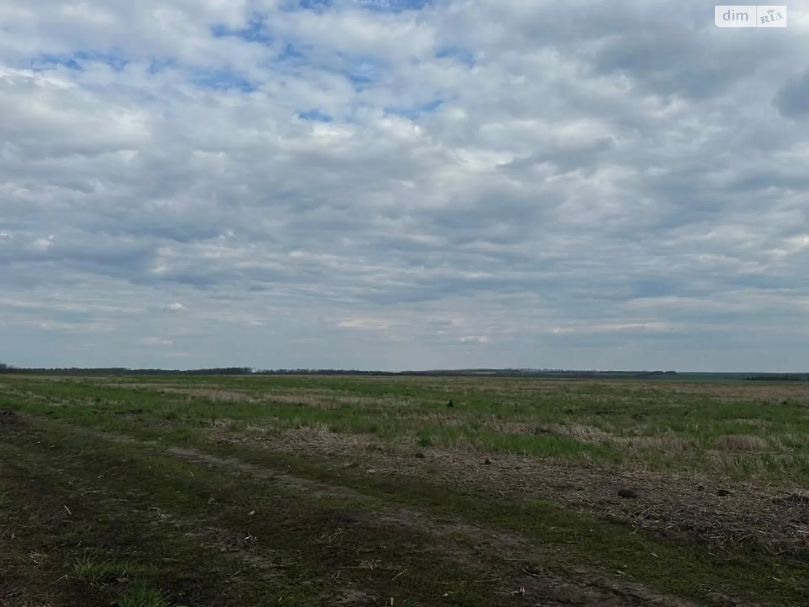 Криничне, цена: 84865 грн - фото 1
