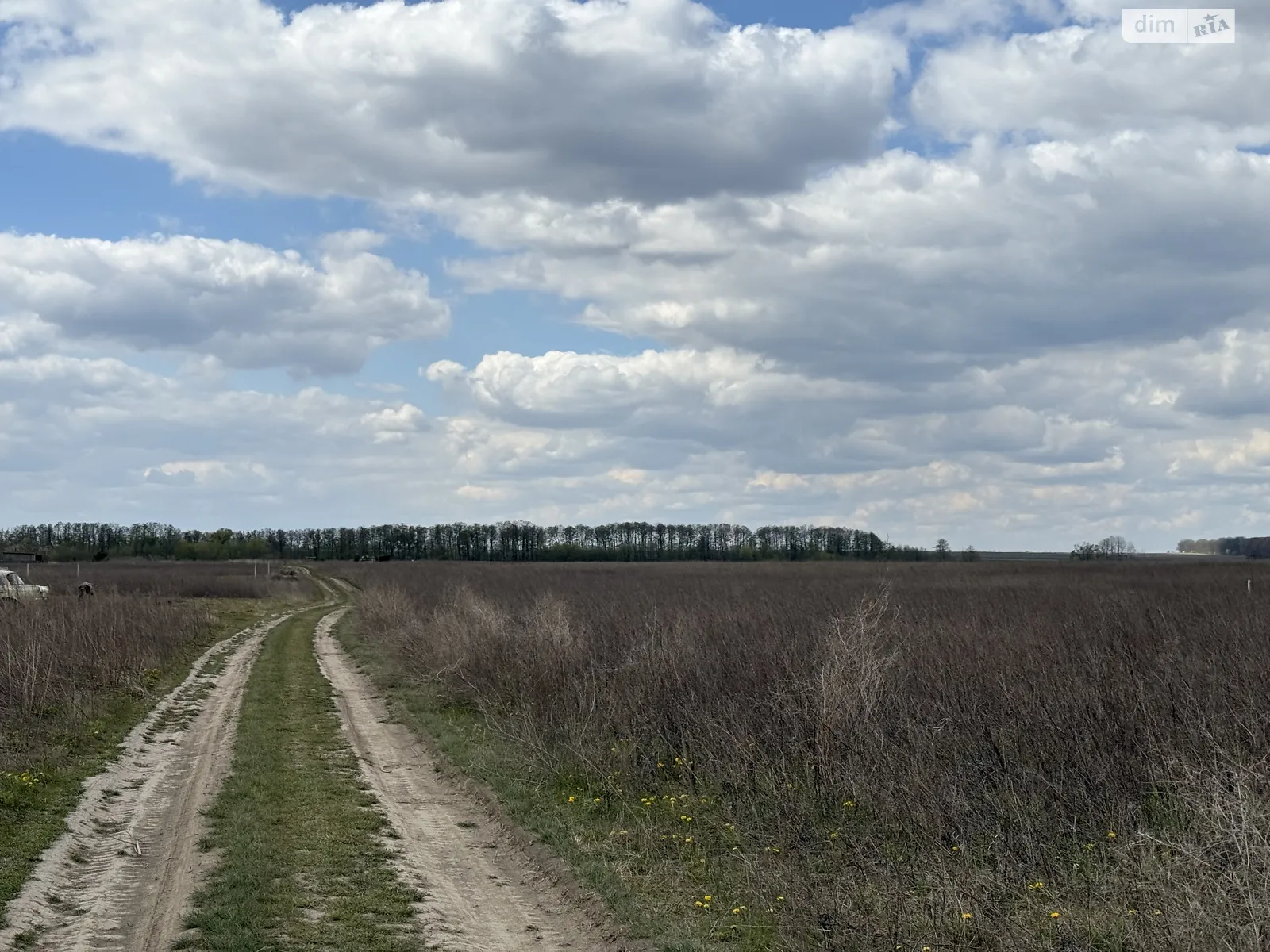 7-й пер. Леоніда Каденюка(Комарова) Агрономичное, цена: 13499 $ - фото 1