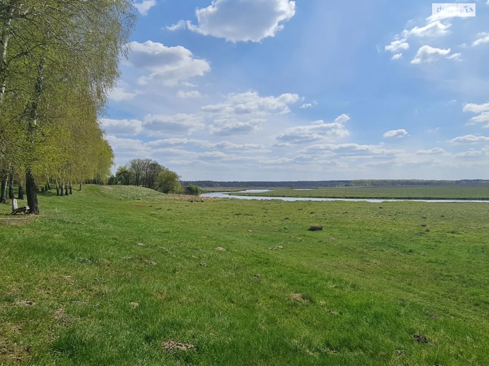 мас. Десенка Сосонка, цена: 6000 $ - фото 1
