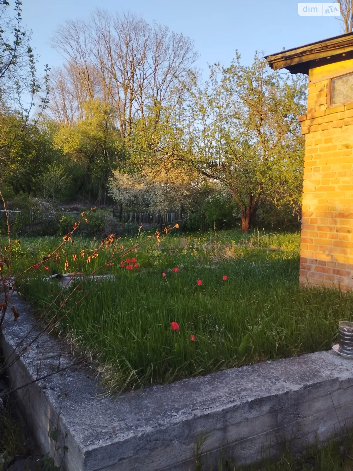 Продается одноэтажный дом 31 кв. м с беседкой, цена: 28500 $ - фото 1