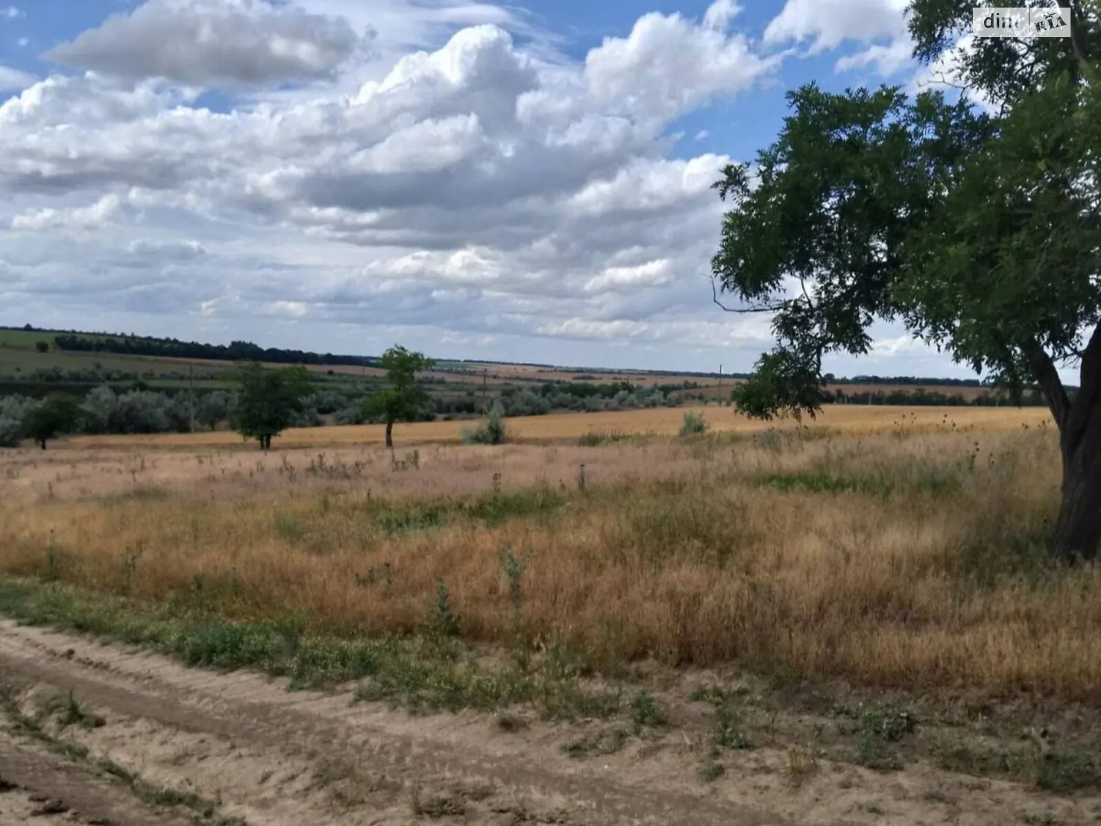 Богатое, цена: 26227 грн - фото 1