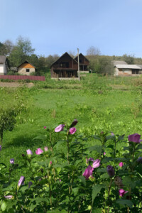 Продажа дома, Ивано-Франковская, Смерклов, вулиця Дністерська, дом 44А