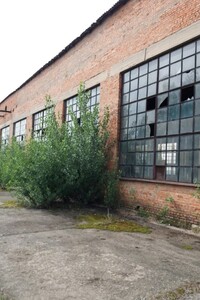 Продаж виробничого приміщення, Чернігівська, Ріпки, c. Любеч, Любеч