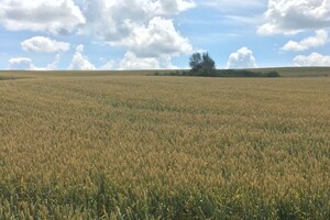 Продажа участка под жилую застройку, Хмельницкий, р‑н. Книжковцы, Старосадова