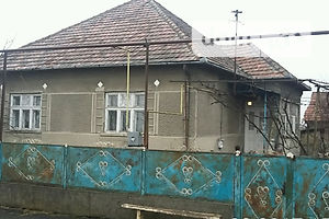 Продажа дома, Закарпатская, Мукачево, c. Страбичево, Центральная, дом 406