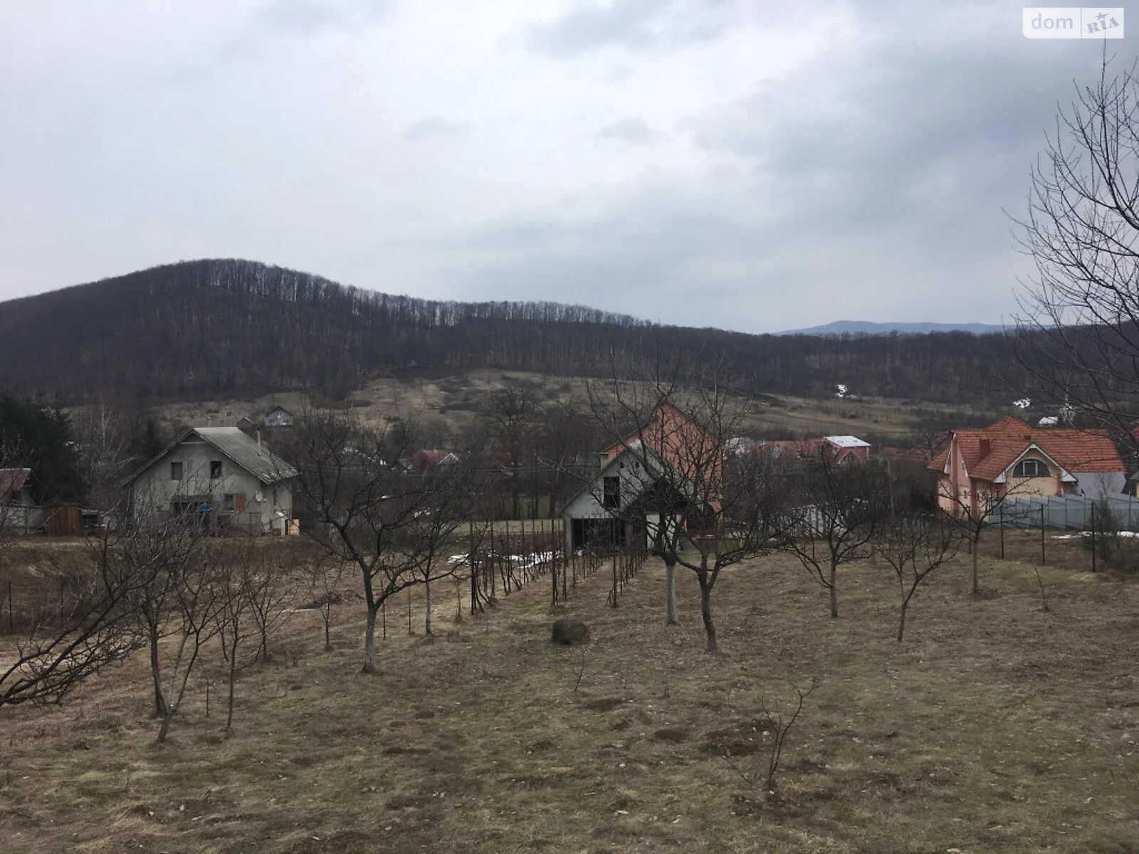 Продается земельный участок 21 соток в Закарпатской области - фото 3