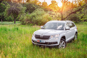 Тест-драйв Skoda Kodiaq: Останетесь довольны