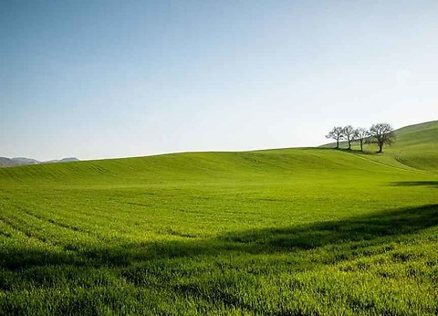 ÐÐ¾ÑÐ¾Ð¶ÐµÐµ Ð¸Ð·Ð¾Ð±ÑÐ°Ð¶ÐµÐ½Ð¸Ðµ