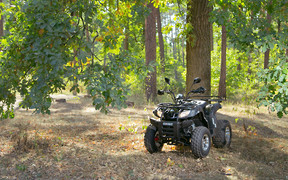 Тест-драйв квадроцикла Shineray ATV 200cc Viktory