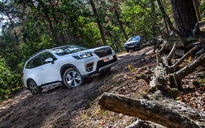 Тест-драйв Subaru Forester: В лес — ходить!