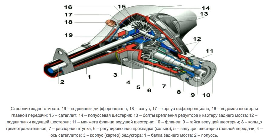 Задний мост ваз в разрезе