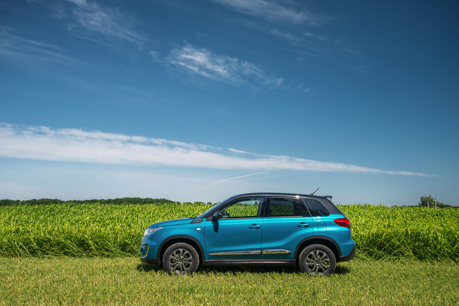 Профиль Витары