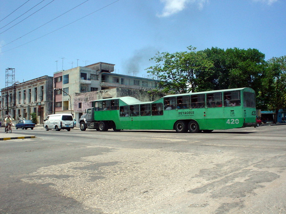 Camel Bus