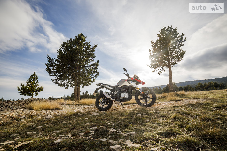 bmw g 310 gs