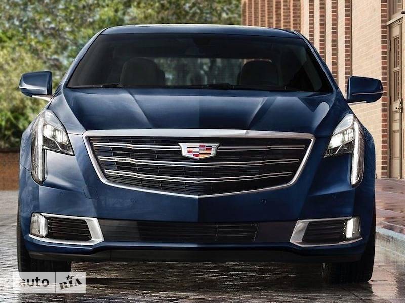 Стильный и элегантный внешний вид