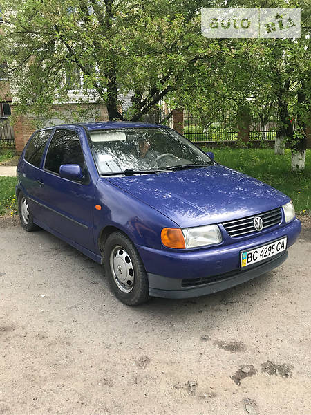 hering polo masculina