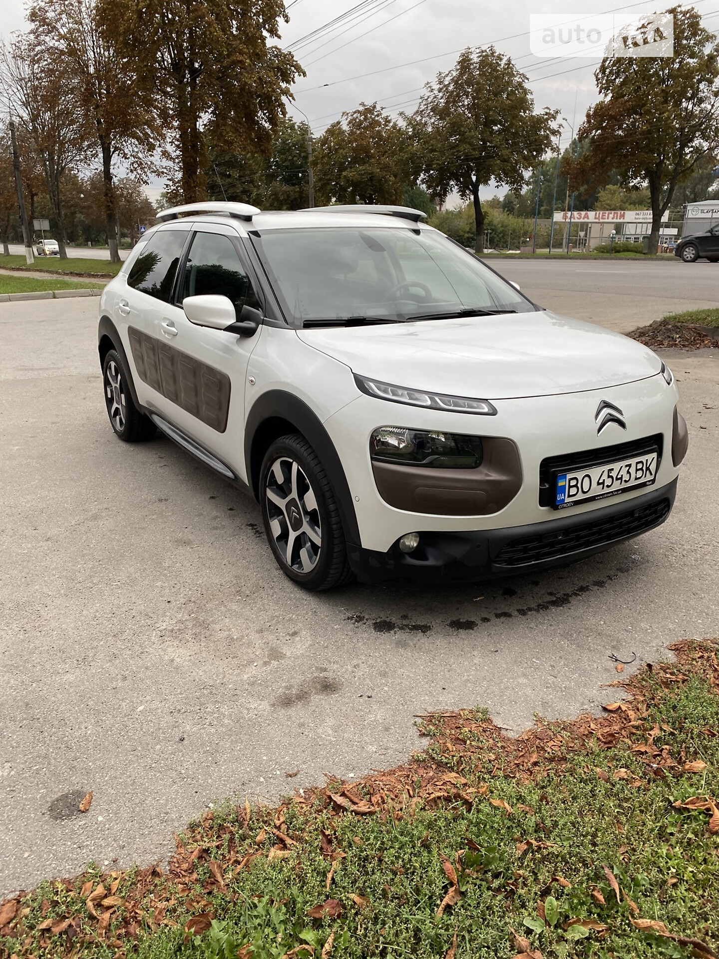 CITROEN C4 CACTUS 2017