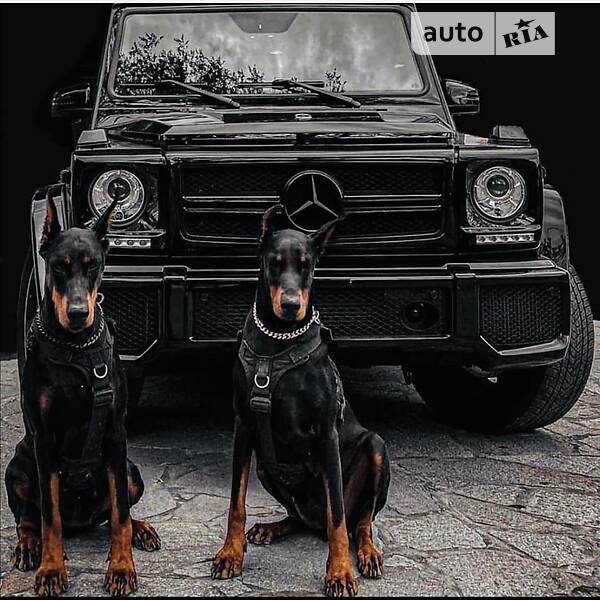 MERCEDES-BENZ G 350 D 2015