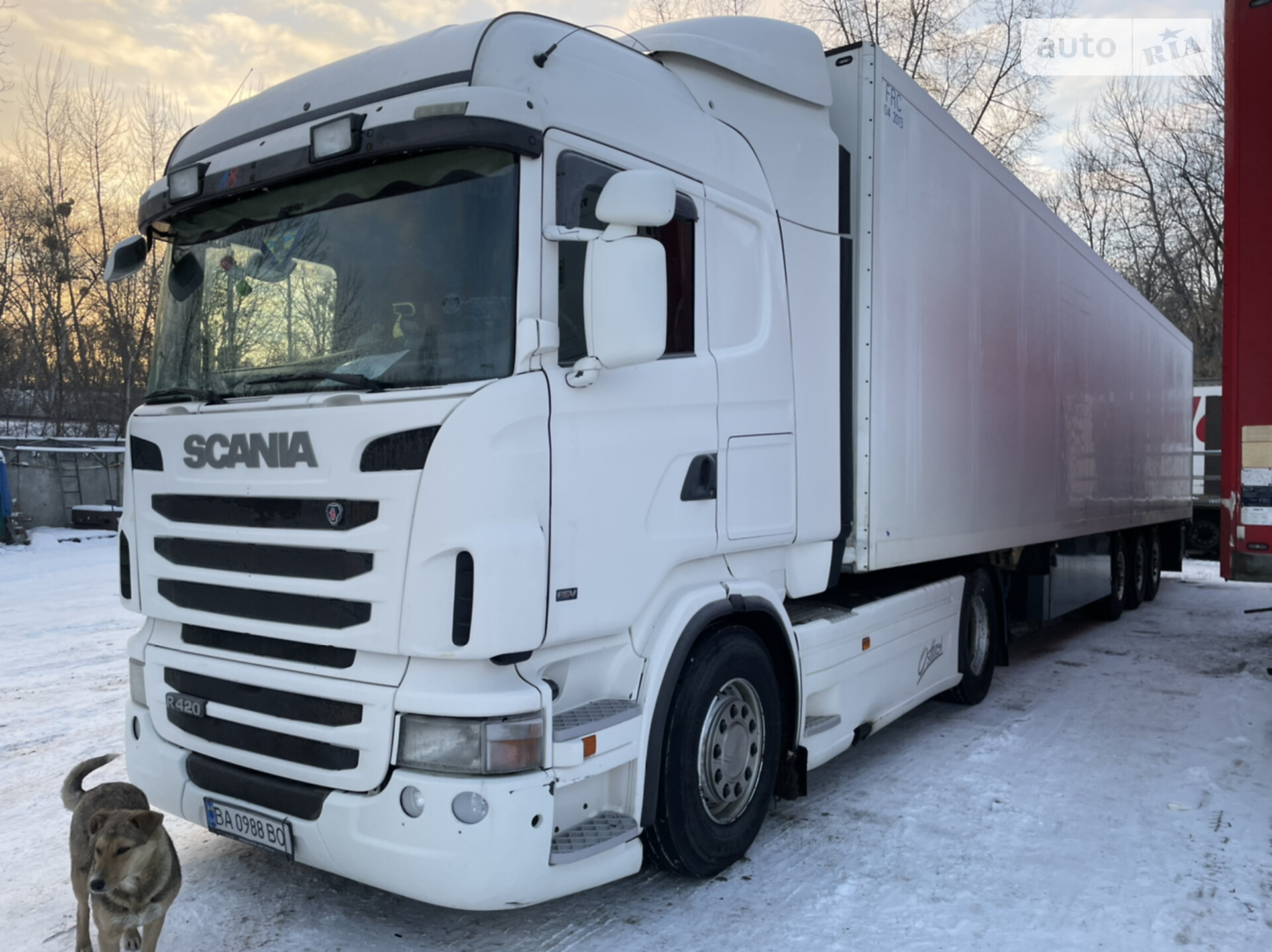 SCHMITZ R420 LA 2011