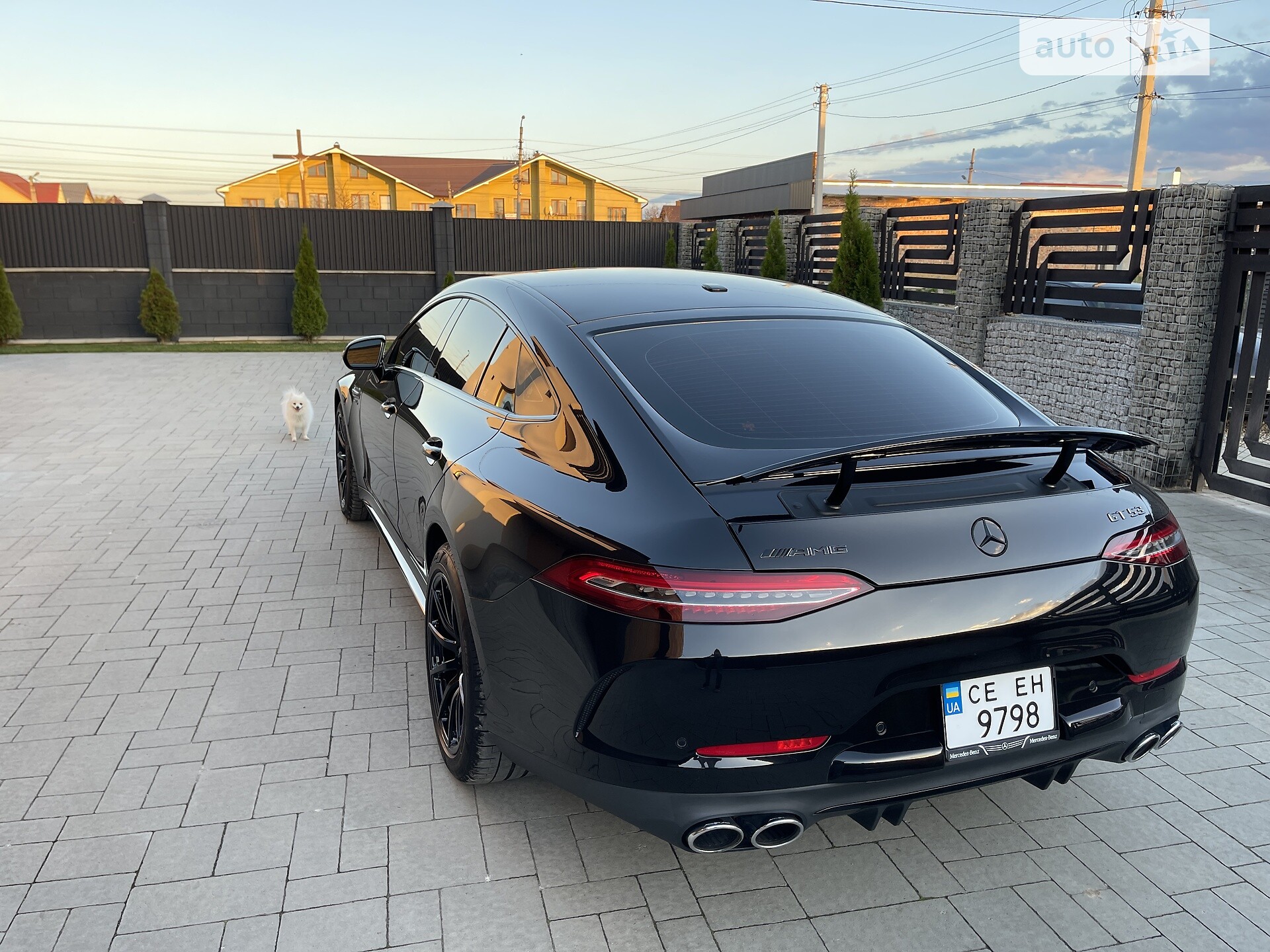 MERCEDES-BENZ AMG GT 53 2019