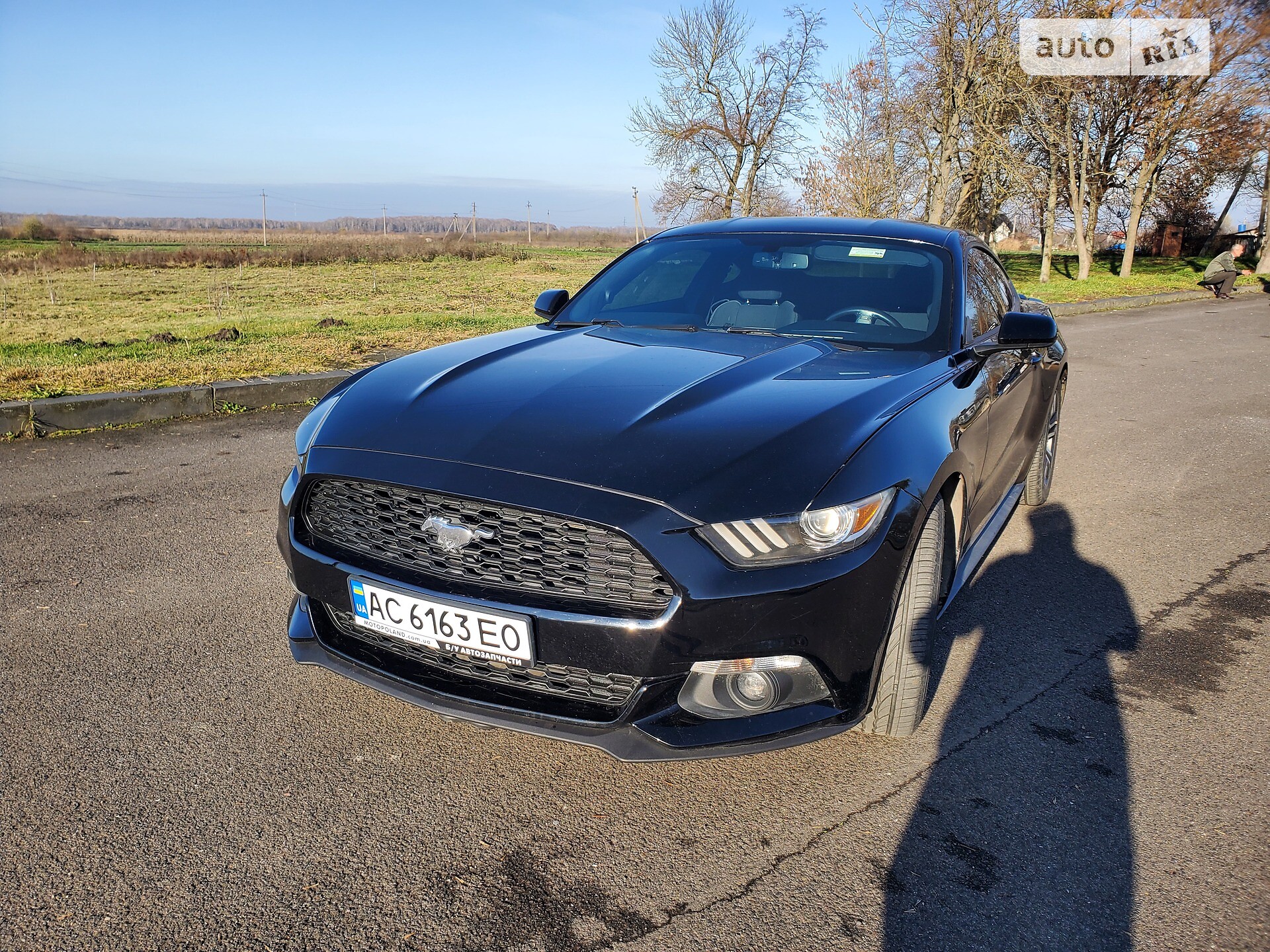 Ford Mustang 2014