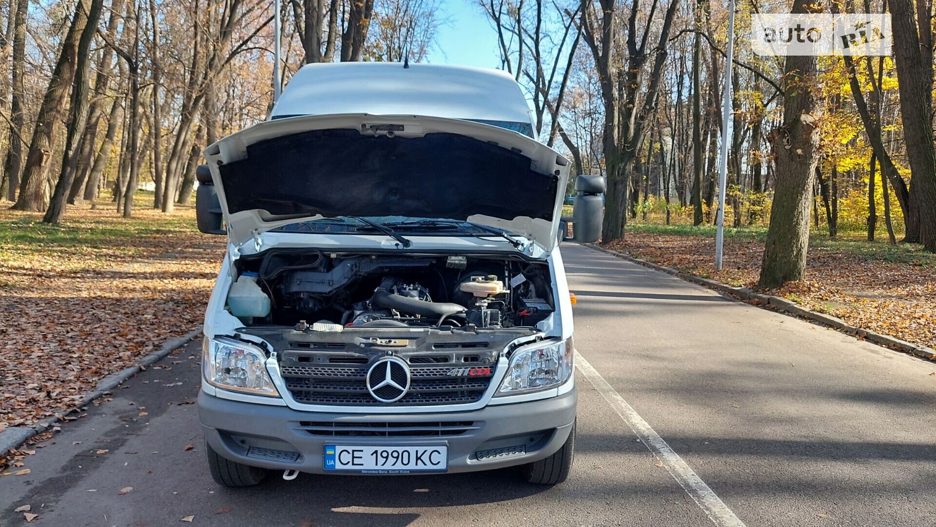 MERCEDES-BENZ SPRINTER 313 CDI 2000