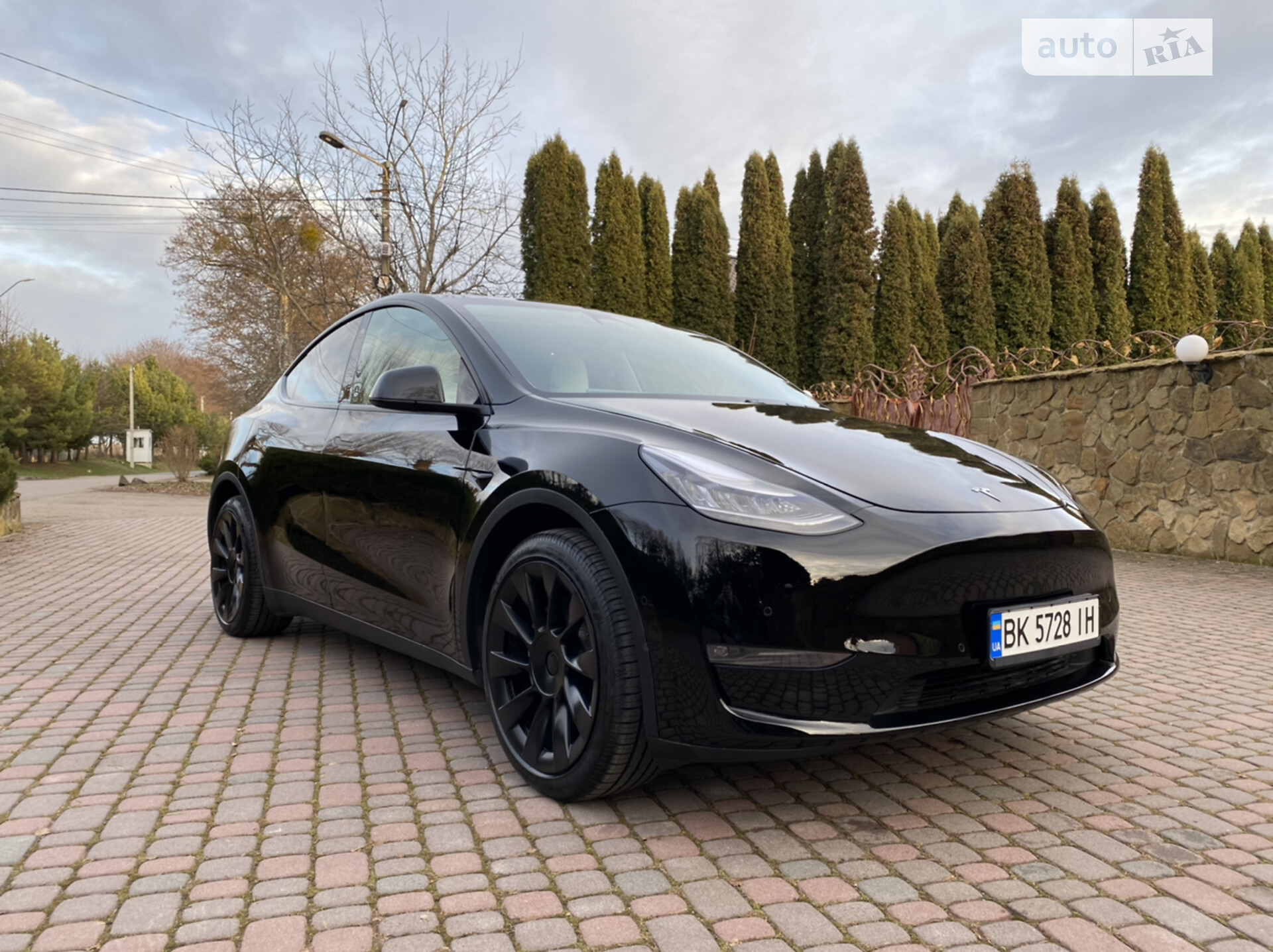 Tesla Model Y 2020