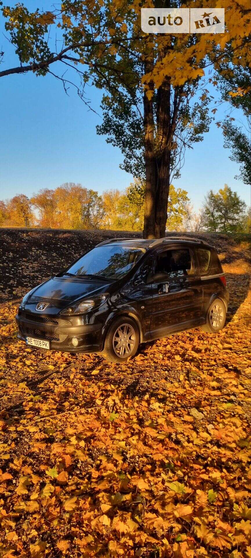 PEUGEOT 1007