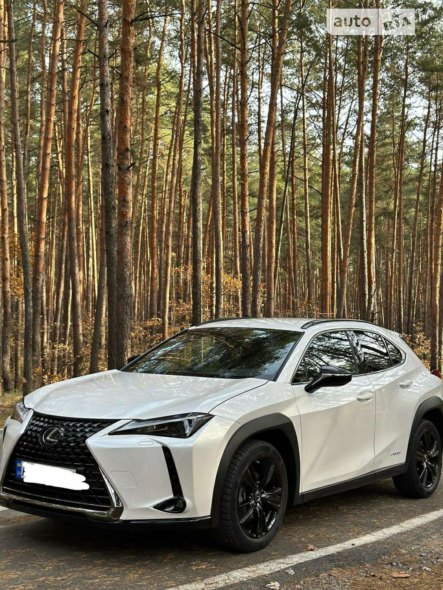 Головне фото звіту автомобіля LEXUS UX250H 2020