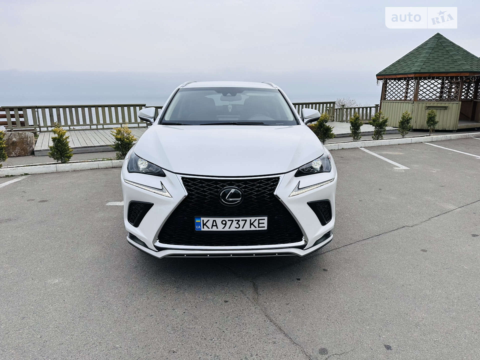 LEXUS NX 300 2019