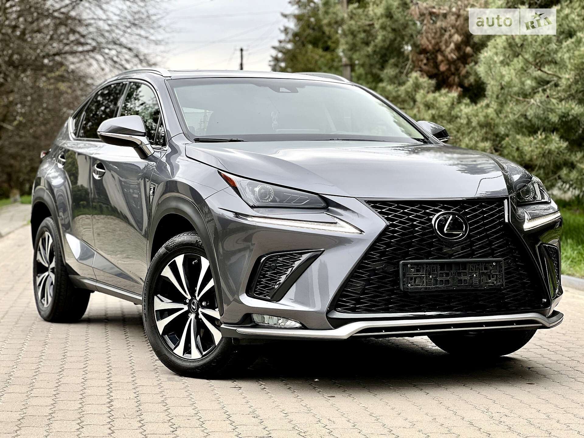 LEXUS NX 300