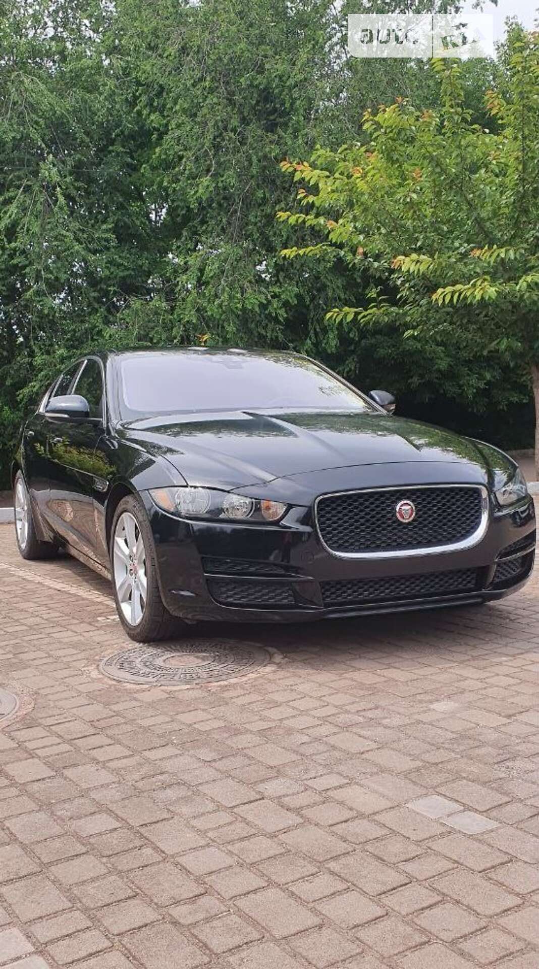 JAGUAR XE 2016